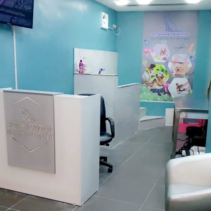 إرشادات بيطرية مستمرة لصحة وسلامة حيواناتكم الأليفة